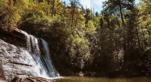 A bright, scenic view of a waterfall cascading over dark rocks into a pool of water, surrounded by a dense forest of sunlit trees.