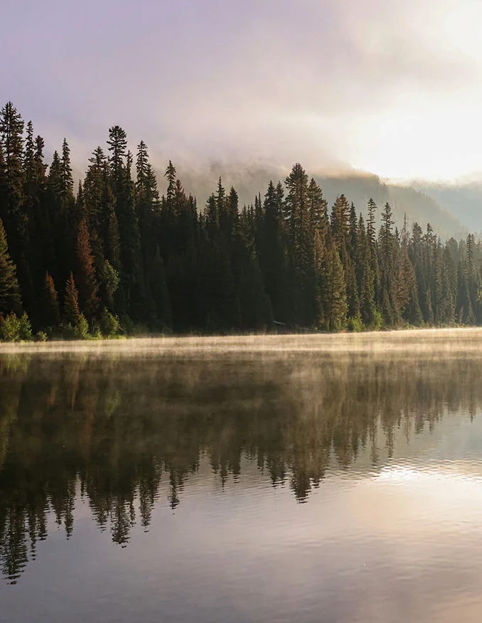 A serene, vertical landscape of a calm lake at dawn, with mist rising off the water's surface and a dense forest of evergreen trees reflected perfectly in the water under a soft, hazy sky.